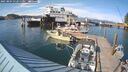 ./images/quadra/hbidock/20250804/hbidock20250804_172511M.jpg
