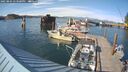 ./images/quadra/hbidock/20250804/hbidock20250804_173500M.jpg