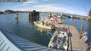 ./images/quadra/hbidock/20250804/hbidock20250804_173509M.jpg