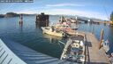 ./images/quadra/hbidock/20250804/hbidock20250804_175500M.jpg