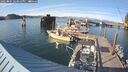 ./images/quadra/hbidock/20250804/hbidock20250804_183011M.jpg