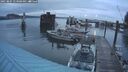 ./images/quadra/hbidock/20250805/hbidock20250805_053508M.jpg