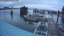 ./images/quadra/hbidock/20250805/hbidock20250805_054009M.jpg