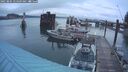 ./images/quadra/hbidock/20250805/hbidock20250805_054509M.jpg