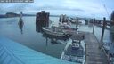 ./images/quadra/hbidock/20250805/hbidock20250805_055006M.jpg