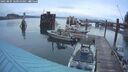 ./images/quadra/hbidock/20250805/hbidock20250805_060010M.jpg