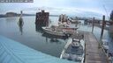 ./images/quadra/hbidock/20250805/hbidock20250805_061509M.jpg