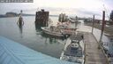 ./images/quadra/hbidock/20250805/hbidock20250805_072510M.jpg