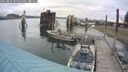 ./images/quadra/hbidock/20250805/hbidock20250805_105010M.jpg