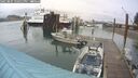 ./images/quadra/hbidock/20250805/hbidock20250805_120510M.jpg