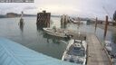 ./images/quadra/hbidock/20250805/hbidock20250805_125009M.jpg