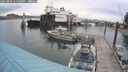 ./images/quadra/hbidock/20250805/hbidock20250805_134000M.jpg