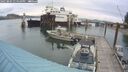./images/quadra/hbidock/20250805/hbidock20250805_134510M.jpg