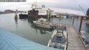 ./images/quadra/hbidock/20250805/hbidock20250805_135500M.jpg