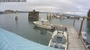 ./images/quadra/hbidock/20250805/hbidock20250805_150012M.jpg