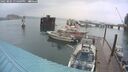 ./images/quadra/hbidock/20250805/hbidock20250805_194509M.jpg
