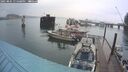 ./images/quadra/hbidock/20250805/hbidock20250805_195008M.jpg