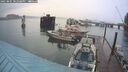 ./images/quadra/hbidock/20250805/hbidock20250805_202508M.jpg