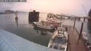 ./images/quadra/hbidock/20250805/hbidock20250805_205509M.jpg