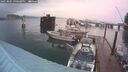 ./images/quadra/hbidock/20250805/hbidock20250805_210008M.jpg