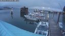 ./images/quadra/hbidock/20250806/hbidock20250806_054009M.jpg