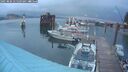 ./images/quadra/hbidock/20250806/hbidock20250806_055509M.jpg