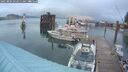 ./images/quadra/hbidock/20250806/hbidock20250806_062011M.jpg