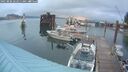./images/quadra/hbidock/20250806/hbidock20250806_062511M.jpg