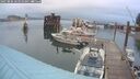 ./images/quadra/hbidock/20250806/hbidock20250806_063509M.jpg