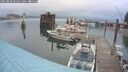 ./images/quadra/hbidock/20250806/hbidock20250806_064011M.jpg