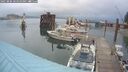 ./images/quadra/hbidock/20250806/hbidock20250806_064511M.jpg