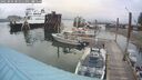 ./images/quadra/hbidock/20250806/hbidock20250806_081011M.jpg
