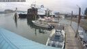 ./images/quadra/hbidock/20250806/hbidock20250806_081511M.jpg