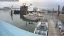 ./images/quadra/hbidock/20250806/hbidock20250806_083000M.jpg