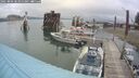 ./images/quadra/hbidock/20250806/hbidock20250806_084000M.jpg