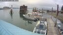 ./images/quadra/hbidock/20250806/hbidock20250806_084010M.jpg