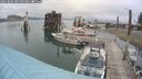./images/quadra/hbidock/20250806/hbidock20250806_085009M.jpg