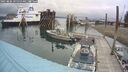 ./images/quadra/hbidock/20250806/hbidock20250806_100000M.jpg