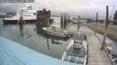 ./images/quadra/hbidock/20250806/hbidock20250806_100012M.jpg