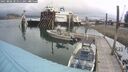 ./images/quadra/hbidock/20250806/hbidock20250806_101511M.jpg