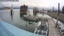 ./images/quadra/hbidock/20250806/hbidock20250806_102500M.jpg