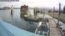 ./images/quadra/hbidock/20250806/hbidock20250806_103510M.jpg