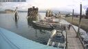 ./images/quadra/hbidock/20250806/hbidock20250806_104011M.jpg