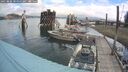 ./images/quadra/hbidock/20250806/hbidock20250806_105000M.jpg