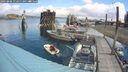 ./images/quadra/hbidock/20250806/hbidock20250806_112011M.jpg