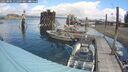 ./images/quadra/hbidock/20250806/hbidock20250806_112510M.jpg