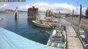 ./images/quadra/hbidock/20250806/hbidock20250806_113012M.jpg