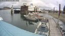./images/quadra/hbidock/20250806/hbidock20250806_115500M.jpg