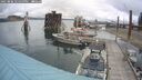 ./images/quadra/hbidock/20250806/hbidock20250806_121500M.jpg
