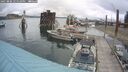 ./images/quadra/hbidock/20250806/hbidock20250806_121509M.jpg